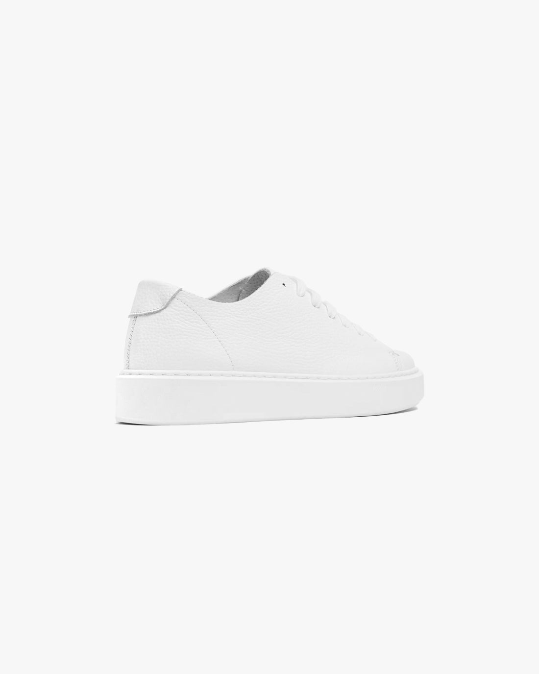 WNB // SNEAKERS ESSENTIAL
