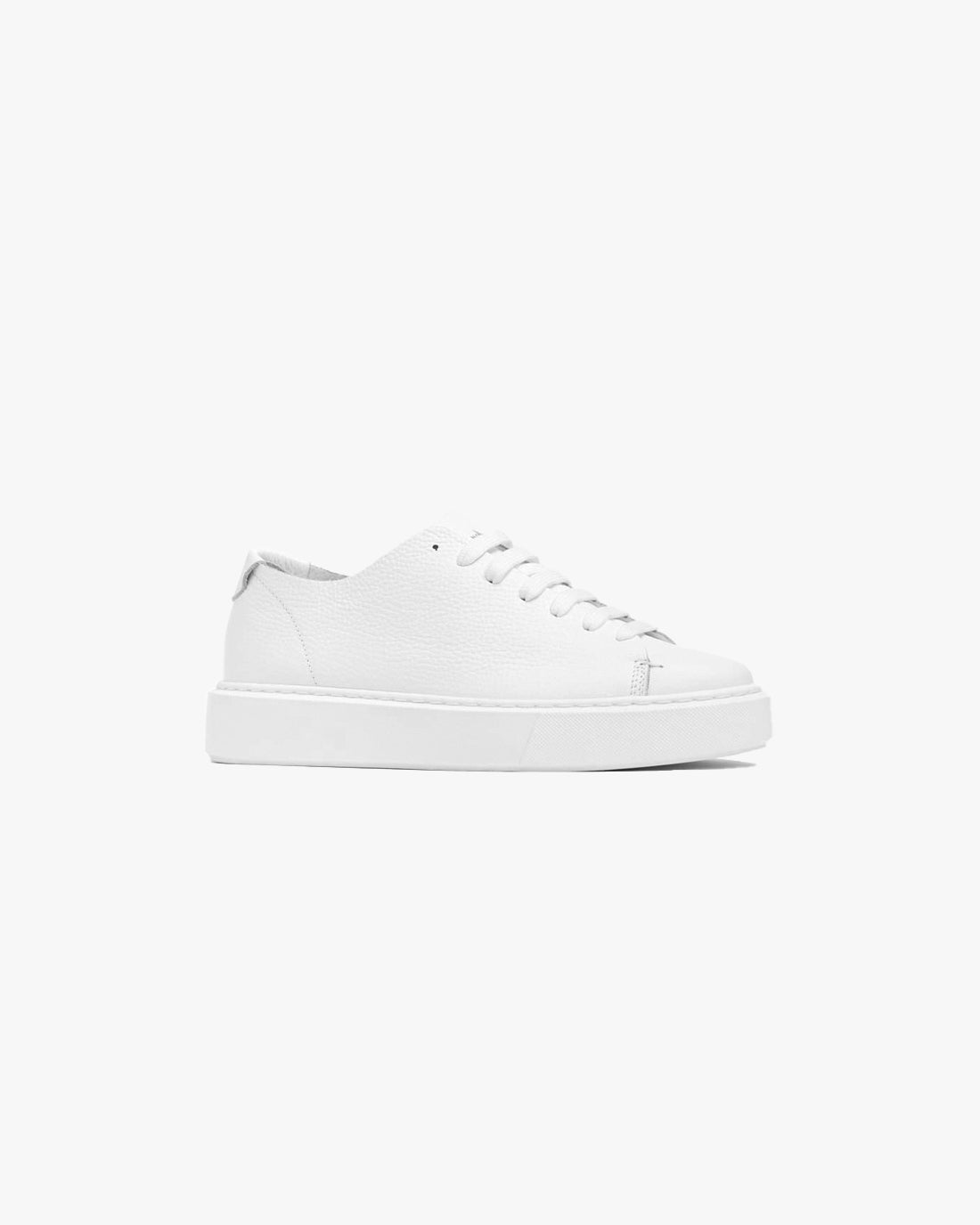 WNB // SNEAKERS ESSENTIAL