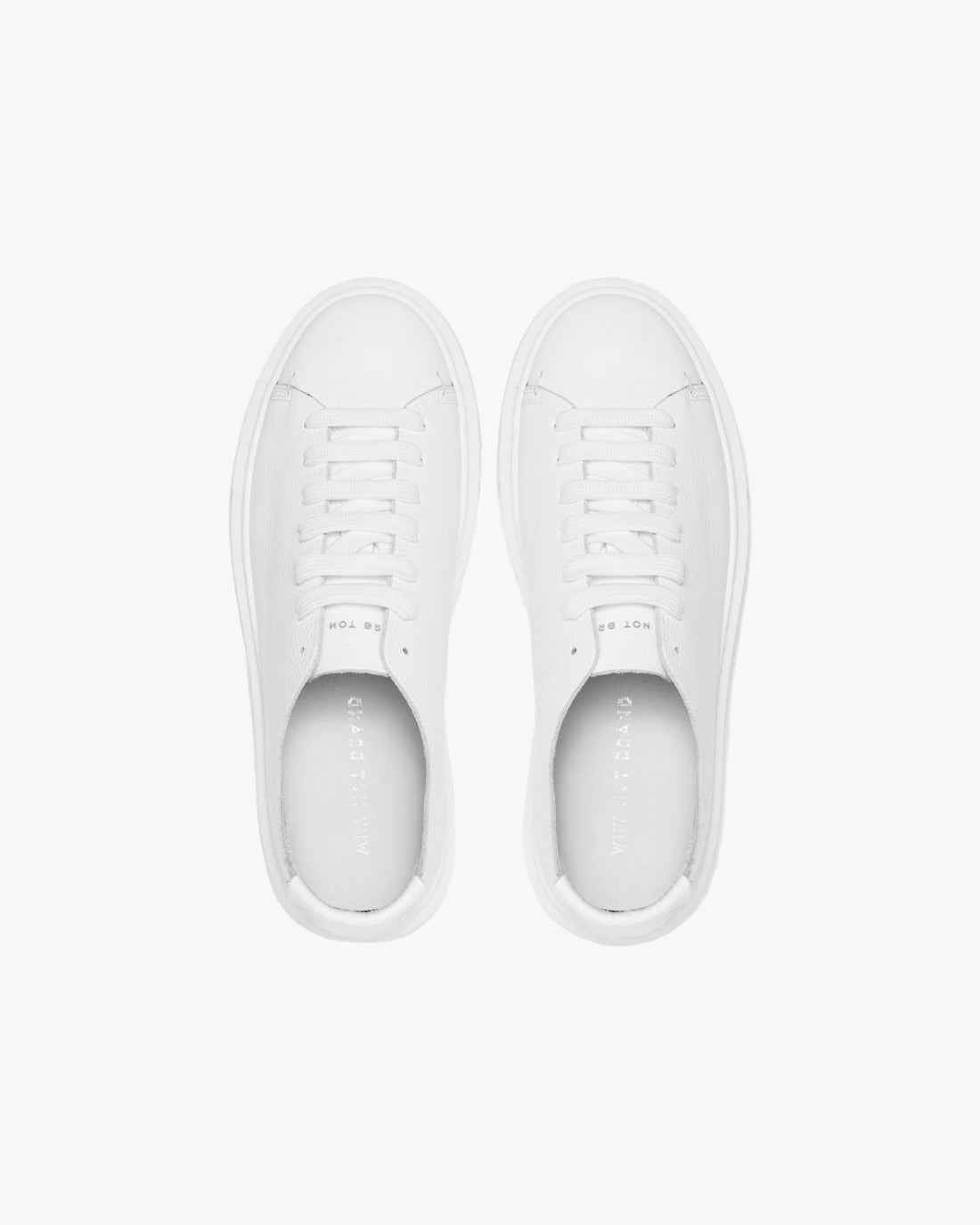 WNB // SNEAKERS ESSENTIAL