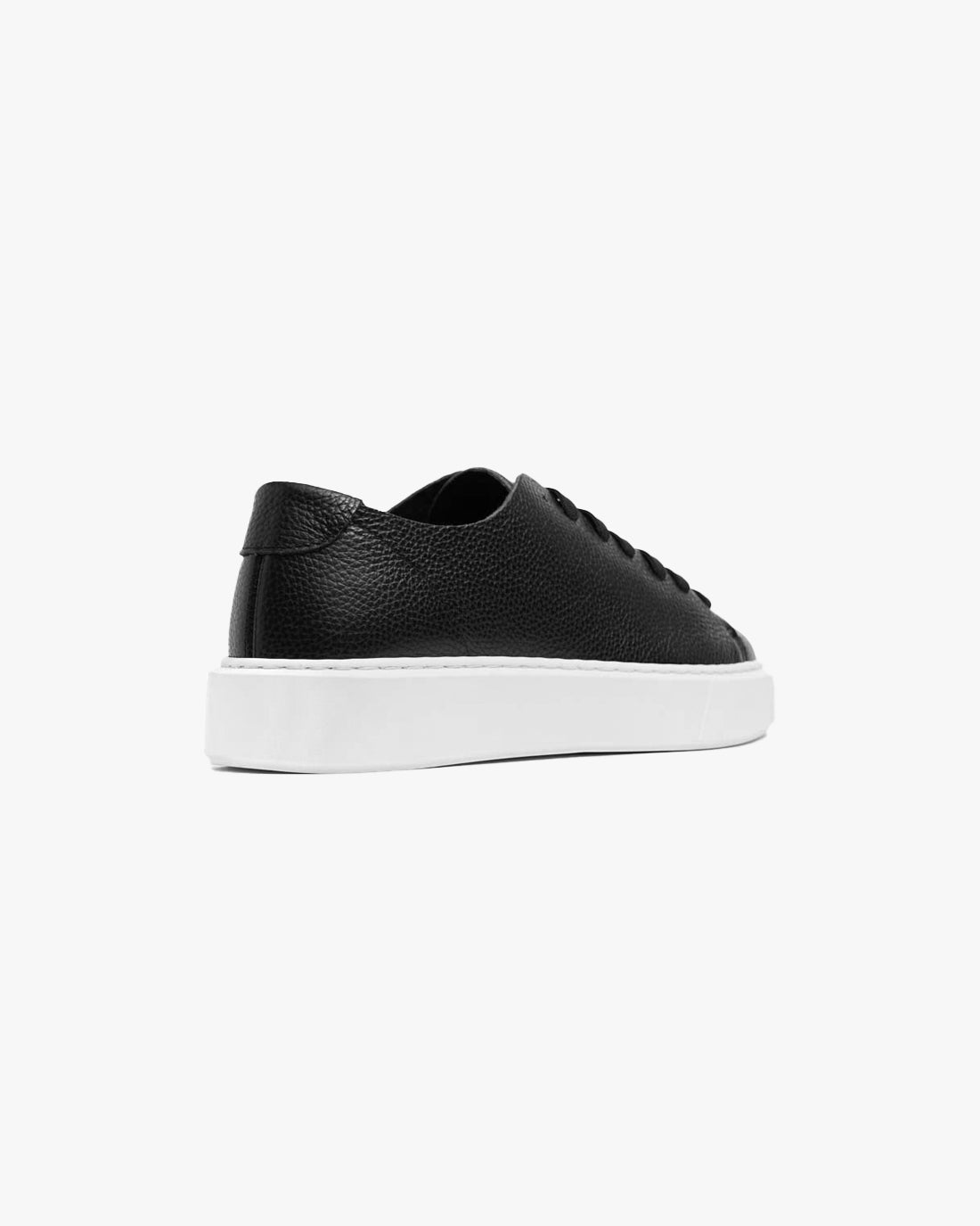 WNB // SNEAKERS ESSENTIAL