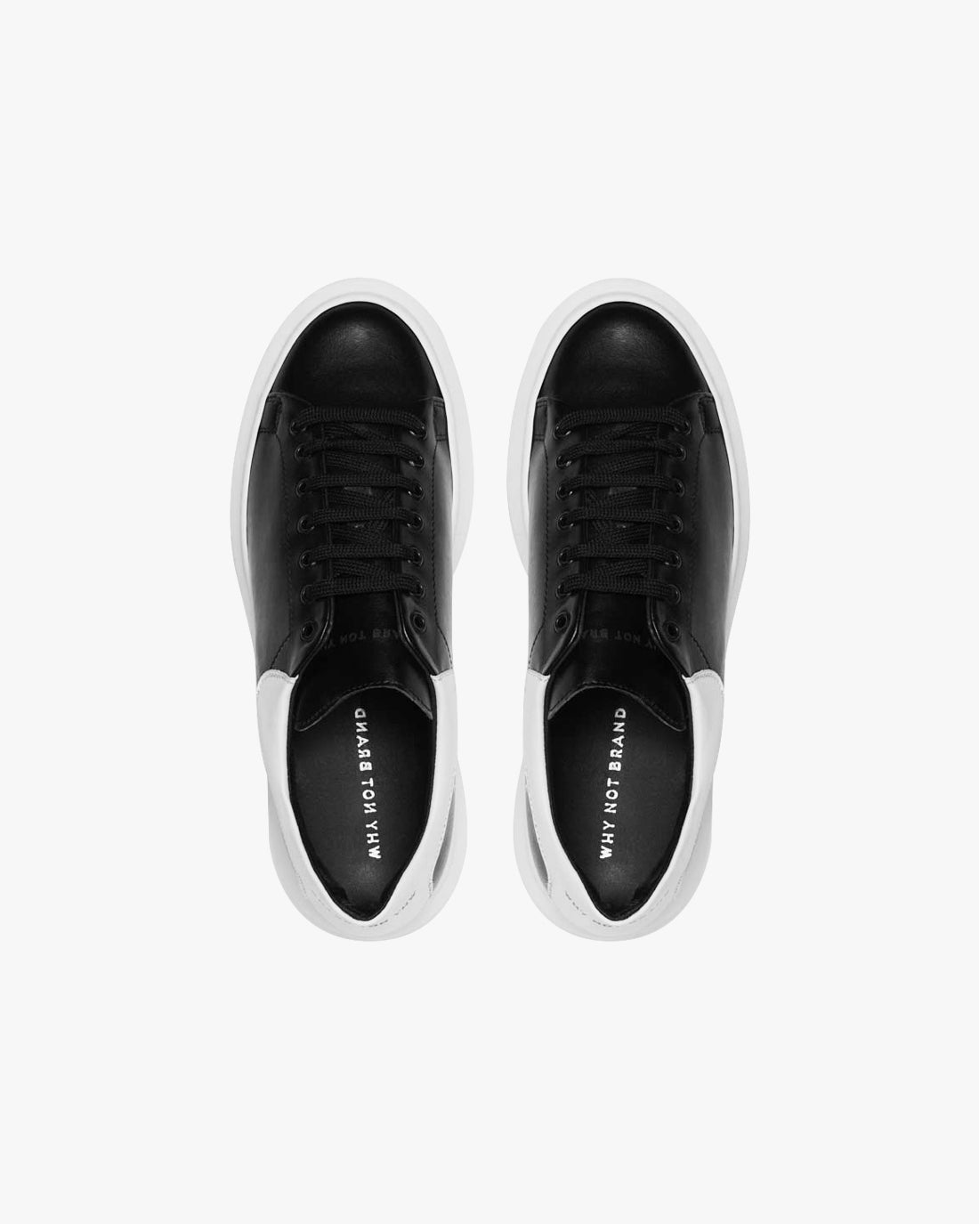 WNB // SNEAKERS CLASSIC